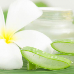 Benefits of Aloe gel