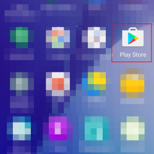 Google Play Store