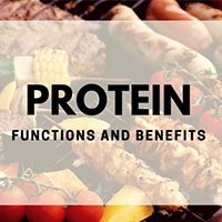FeaturedImage_ProteinSupplement