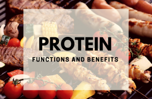 what-is-protein-whey-supplement